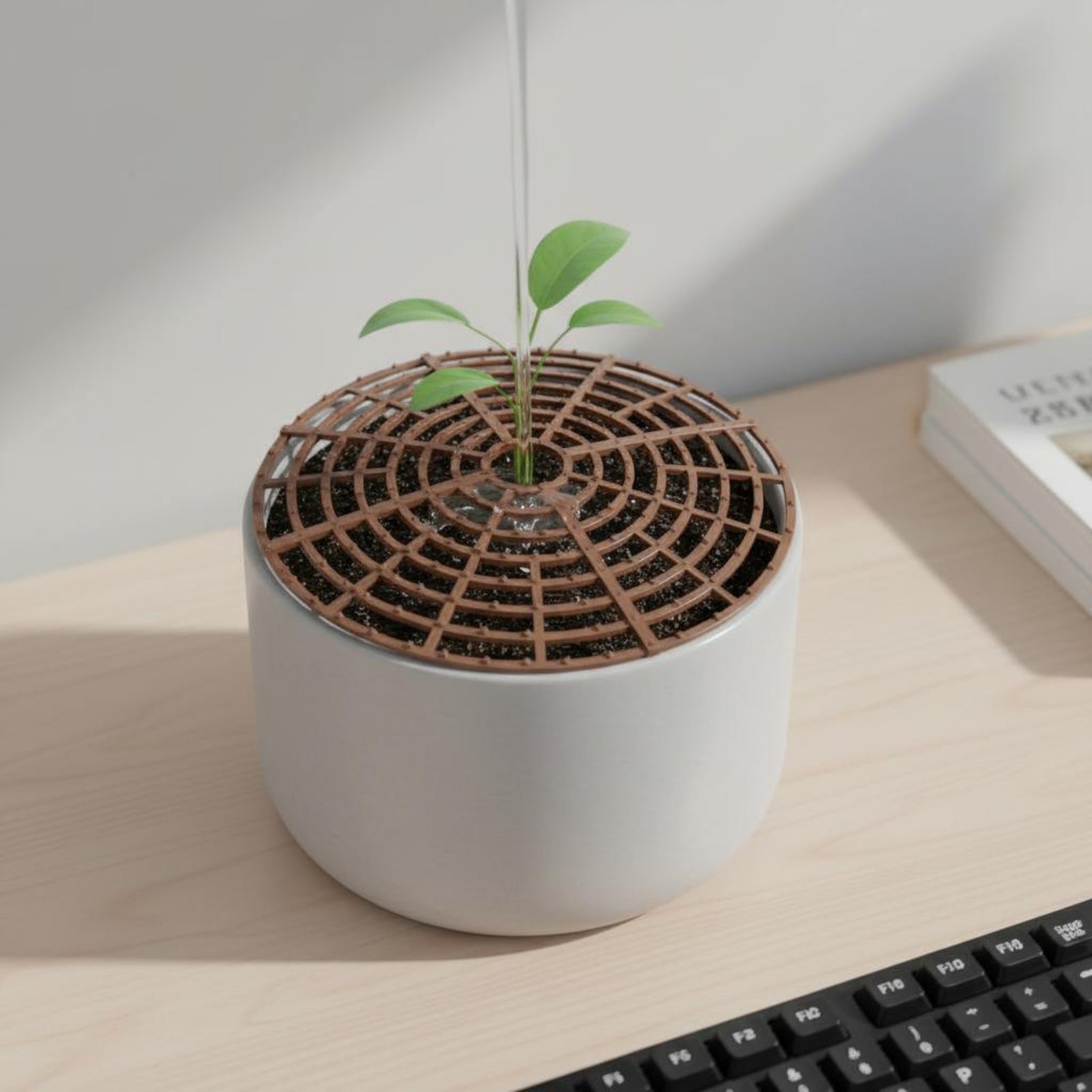 ฝาครอบดินกระถางต้นไม้ ฝาครอบดิ - Plant Parent Free บทวิจารณ์และราคา