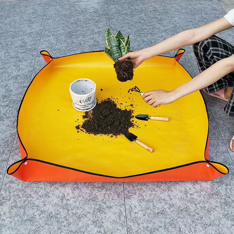 เสื่อรองเปลี่ยนดินสำหรับสวนพรม - Snake Plant Ceramic บทวิจารณ์และราคา